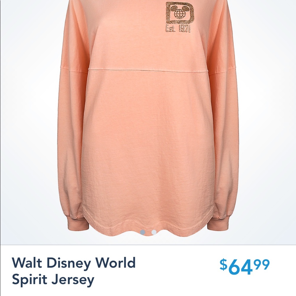 WALT DISNEY WORLD ROSE GOLD SPIRIT JERSEY